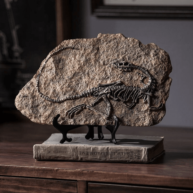 Fósseis Decorativos de Dinossauros em Resina