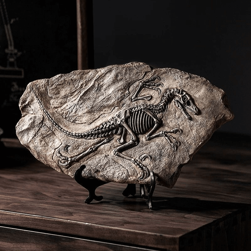 Fósseis Decorativos de Dinossauros em Resina