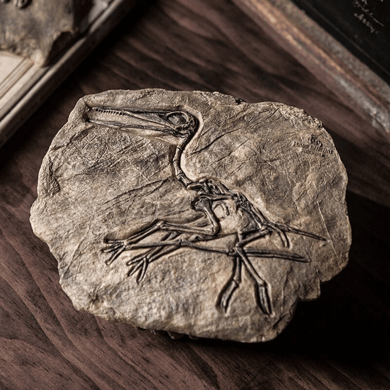 Fósseis Decorativos de Dinossauros em Resina