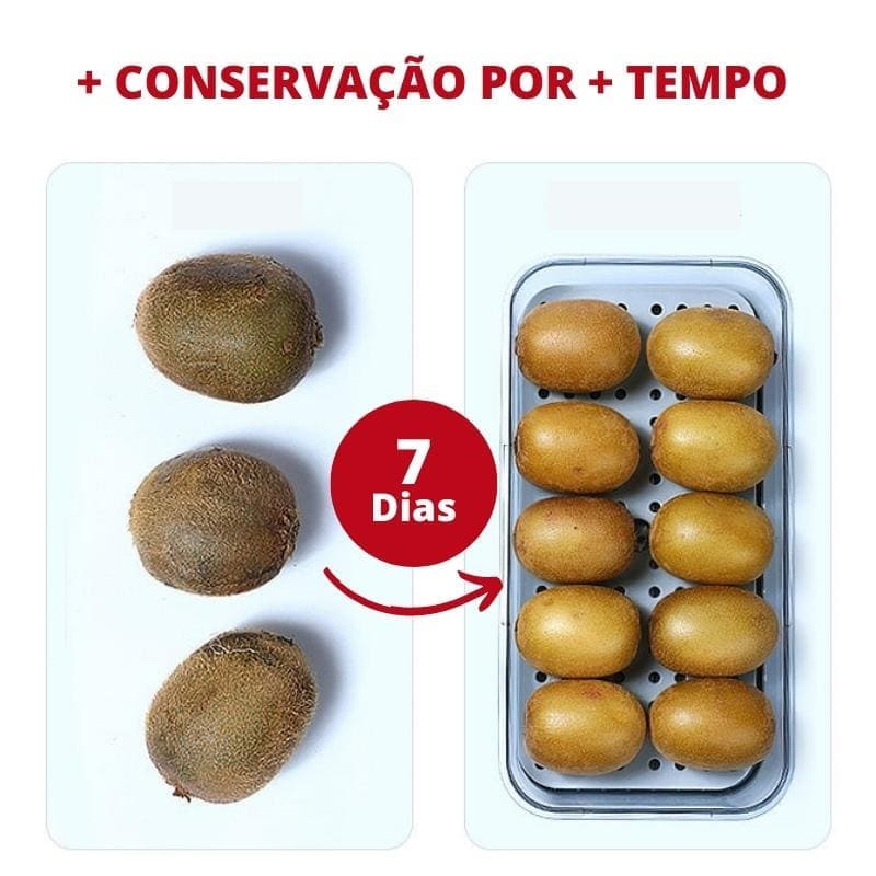 Organizador de Geladeira com Tampa e Indicador de Data