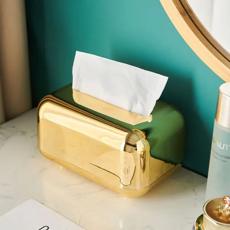 Porta Lenços Organizador Elegante e Funcional