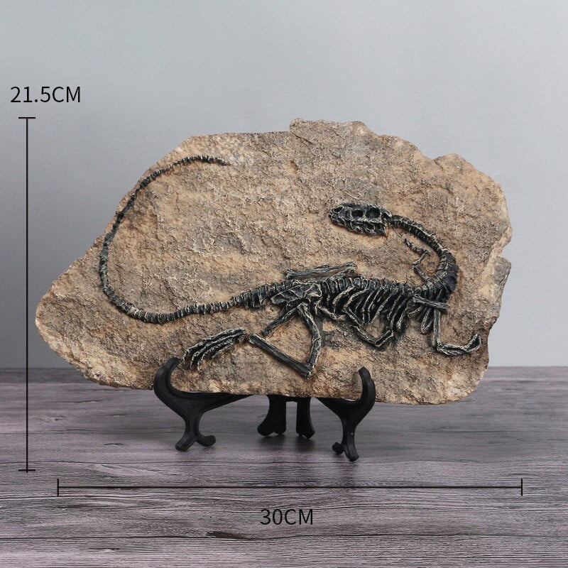 Fósseis Decorativos de Dinossauros em Resina