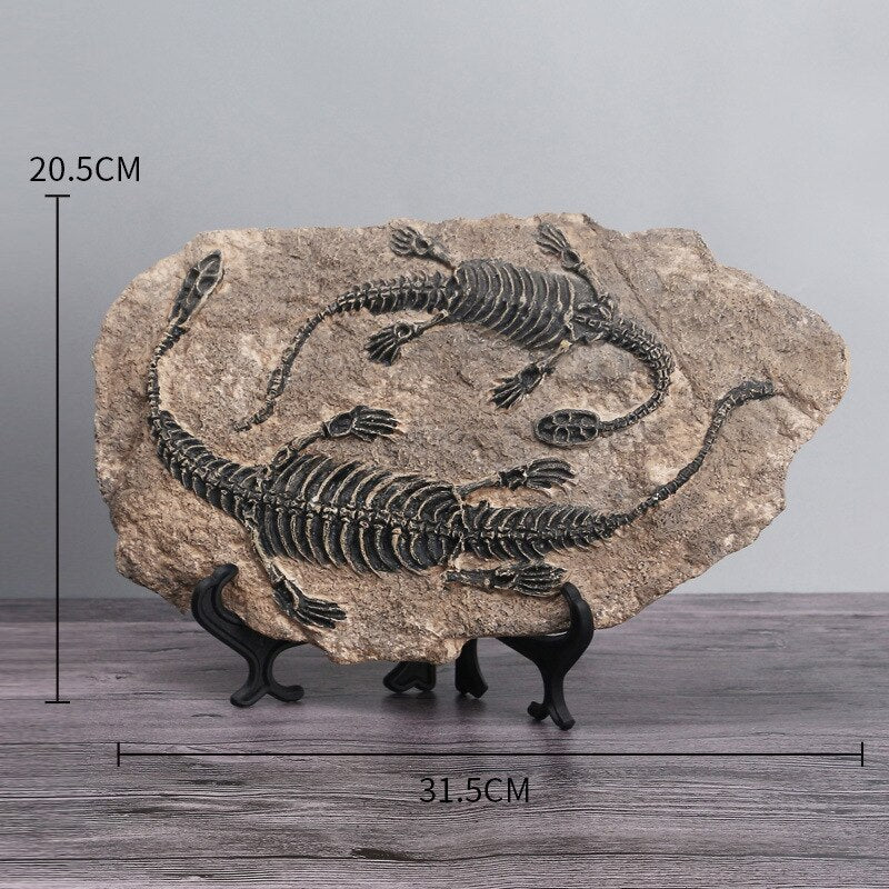 Fósseis Decorativos de Dinossauros em Resina