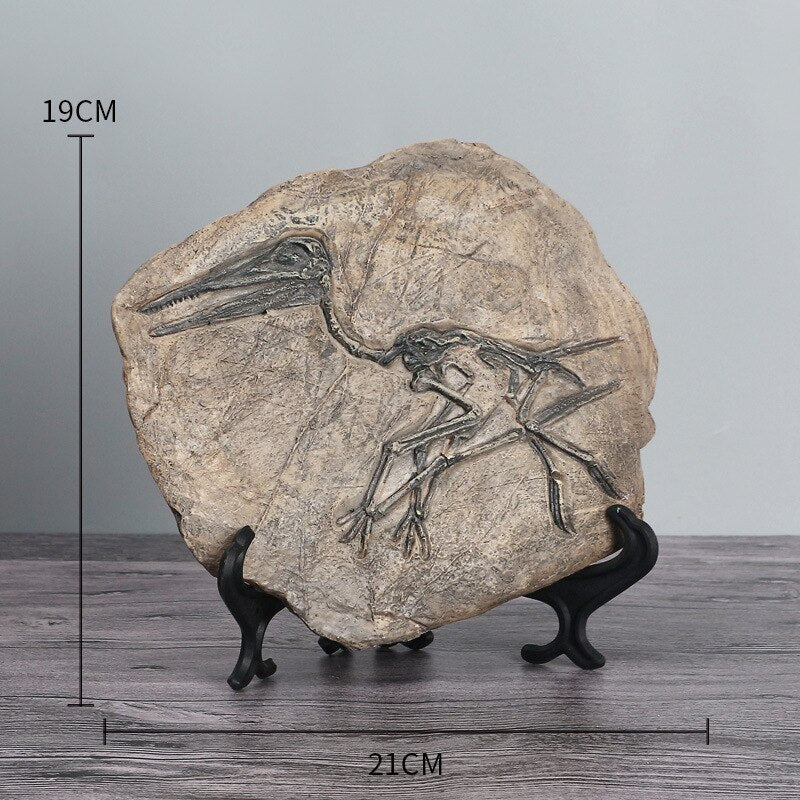 Fósseis Decorativos de Dinossauros em Resina